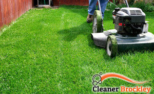 lawn-mowing-services-brockley