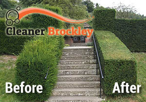 Hedge Trimming Before and After