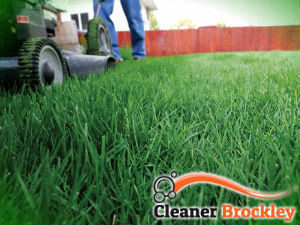 grass-cutting-services-brockley